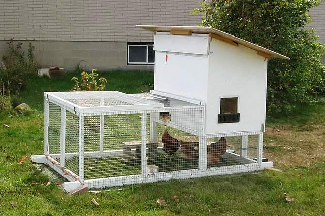 Chicken coop