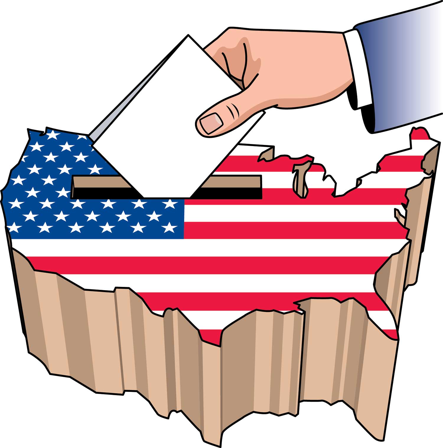 USA-VOTINGHAND