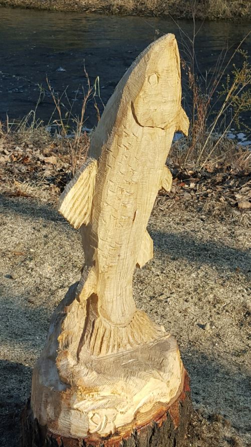 Trout