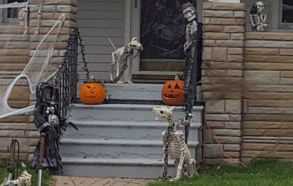 Pass by the pups...only if you dare!