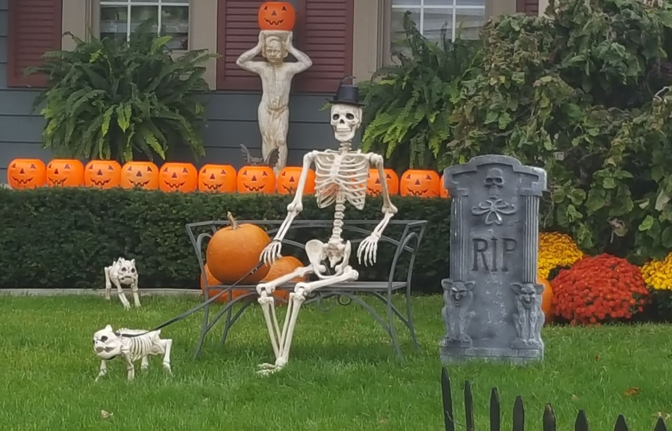 A dapper gentleman with his dog